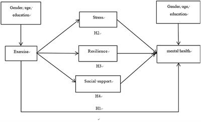 The direct effect of exercise on the mental health of scientific and technological professionals and the mediating effects of stress, resilience, and social support